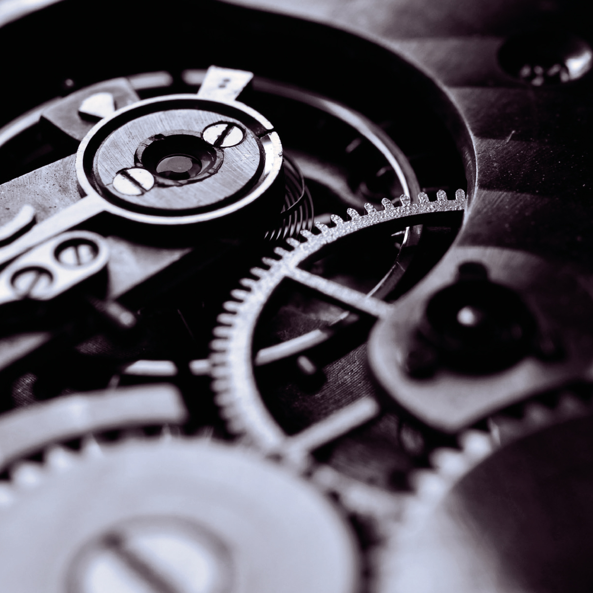 Watchmaking Workshop